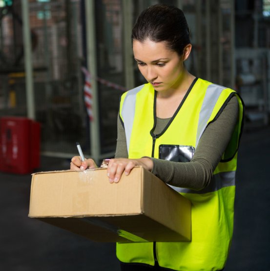 LN International Logistics Express / Urgent Delivery